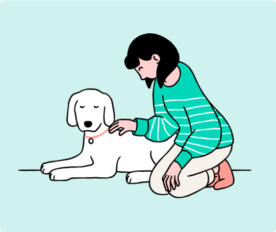 sad dog neutering care