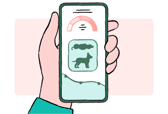 Phone showing pet data